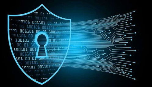 技術創新驅動品牌發展 金盾與“十四五”科技革命下的網絡技術開發