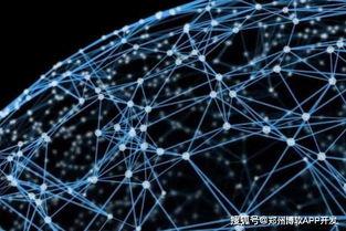 鄭州區塊鏈技術驅動下的數字貨幣錢包開發與網絡技術創新