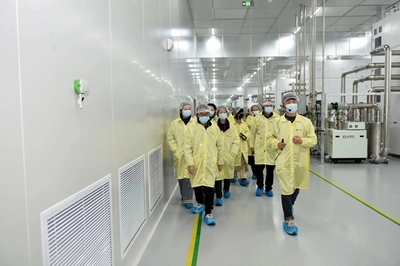 借“光”生“金” 以網絡技術開發驅動高質量發展綠色動能